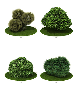 綠色造形植物