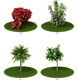 绿色植物