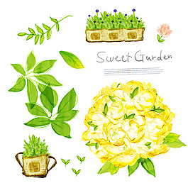 手繪花朵插畫