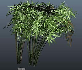 竹子模型