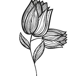 花朵花紋