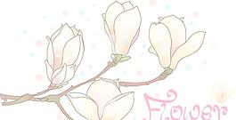 枝子花