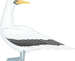 鳥47