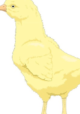 鳥36