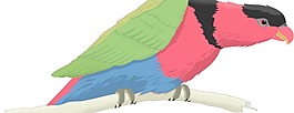 鳥56