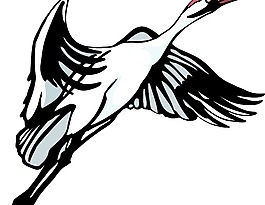 鳥34