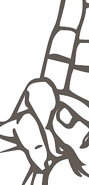 手語(yǔ)U剪輯藝術(shù)