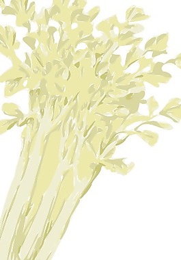 芹菜剪贴画