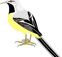 鳥23