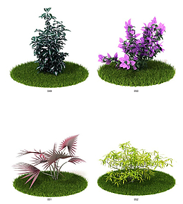 花卉植物