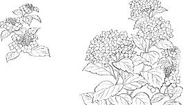 手繪丁香花