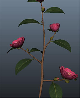 花束花蕾游戲模型素材