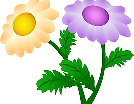 免費矢量菊