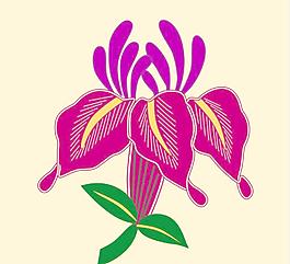 花卉底紋