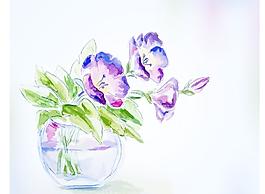 手繪紫色花朵