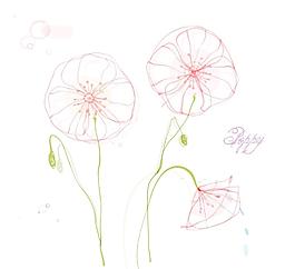 罌粟花