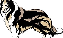 牧羊犬