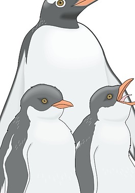 鳥51