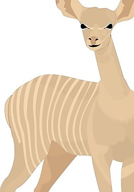 動物13