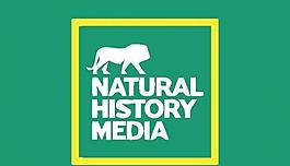 動物logo圖片