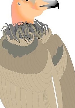 鳥29