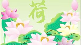 荷花素材