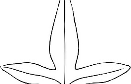 常春藤葉剪貼畫