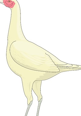 鳥44