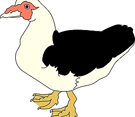 鳥64