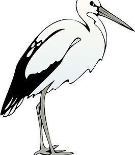 鳥41