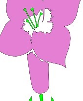 花卉植物剪貼畫