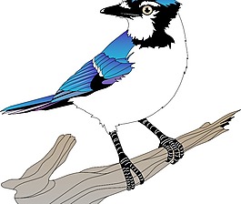 鳥10