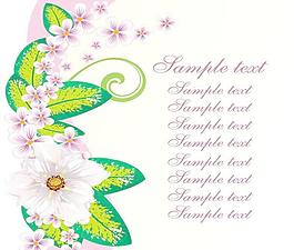 潮流时尚花卉花边矢量图