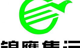 錦鷹集運 logo圖片