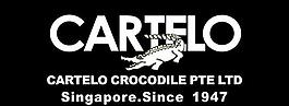 鱷魚品牌店logo圖片