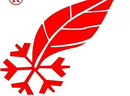 廣州雪中飛logo圖片