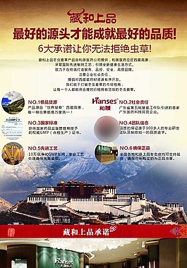 西藏特產(chǎn)冬蟲夏草詳情頁設(shè)計
