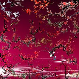 梅花 臘梅psd素材