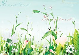 春天花草