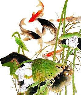 鯉魚荷花PSD模板