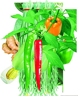 蔬菜PSD源文件