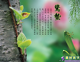 二十四節(jié)氣之--驚蟄psd分層模板
