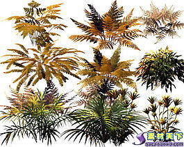 侏羅紀(jì)蕨類植物psd源文件