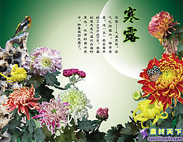 二十四節(jié)氣之--寒露psd分層模板