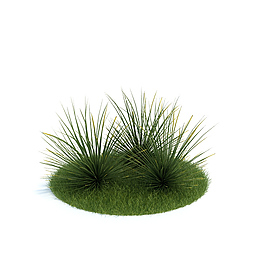 綠色的小草