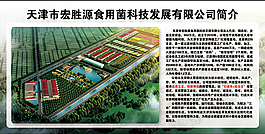 公司簡介
