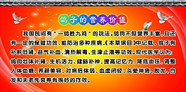 鴿子樓展板