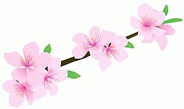 桃花圖片