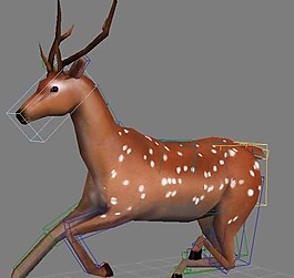 鹿動畫模型