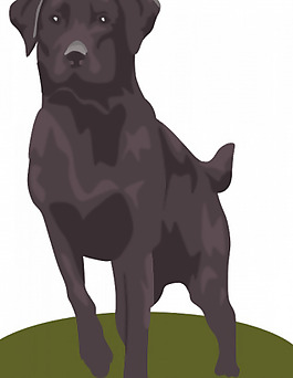 黑拉布拉多犬矢量圖像